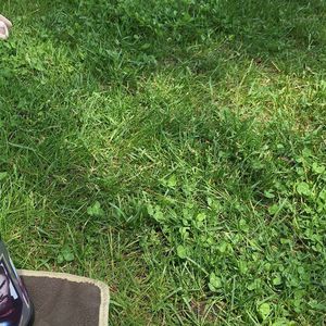 Meet your Posher, Gina